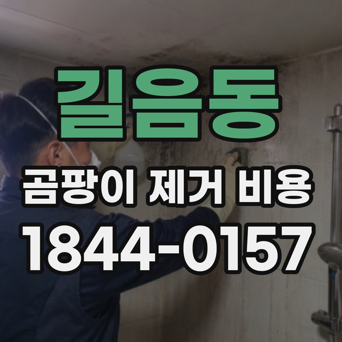 길음동 곰팡이 제거 비용