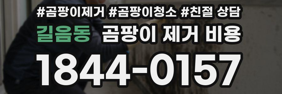 길음동 곰팡이 제거 비용