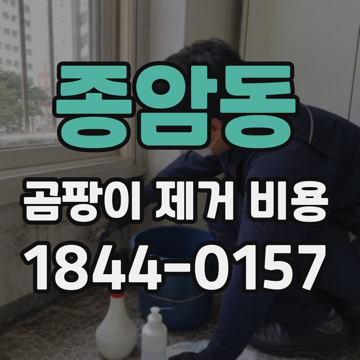 종암동 곰팡이 제거 비용 산정 시 확인해야 할 범위