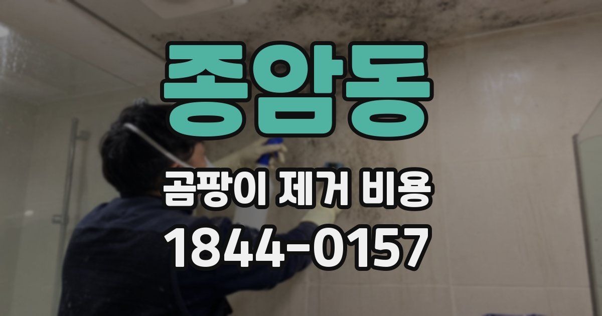 종암동 곰팡이 제거 비용