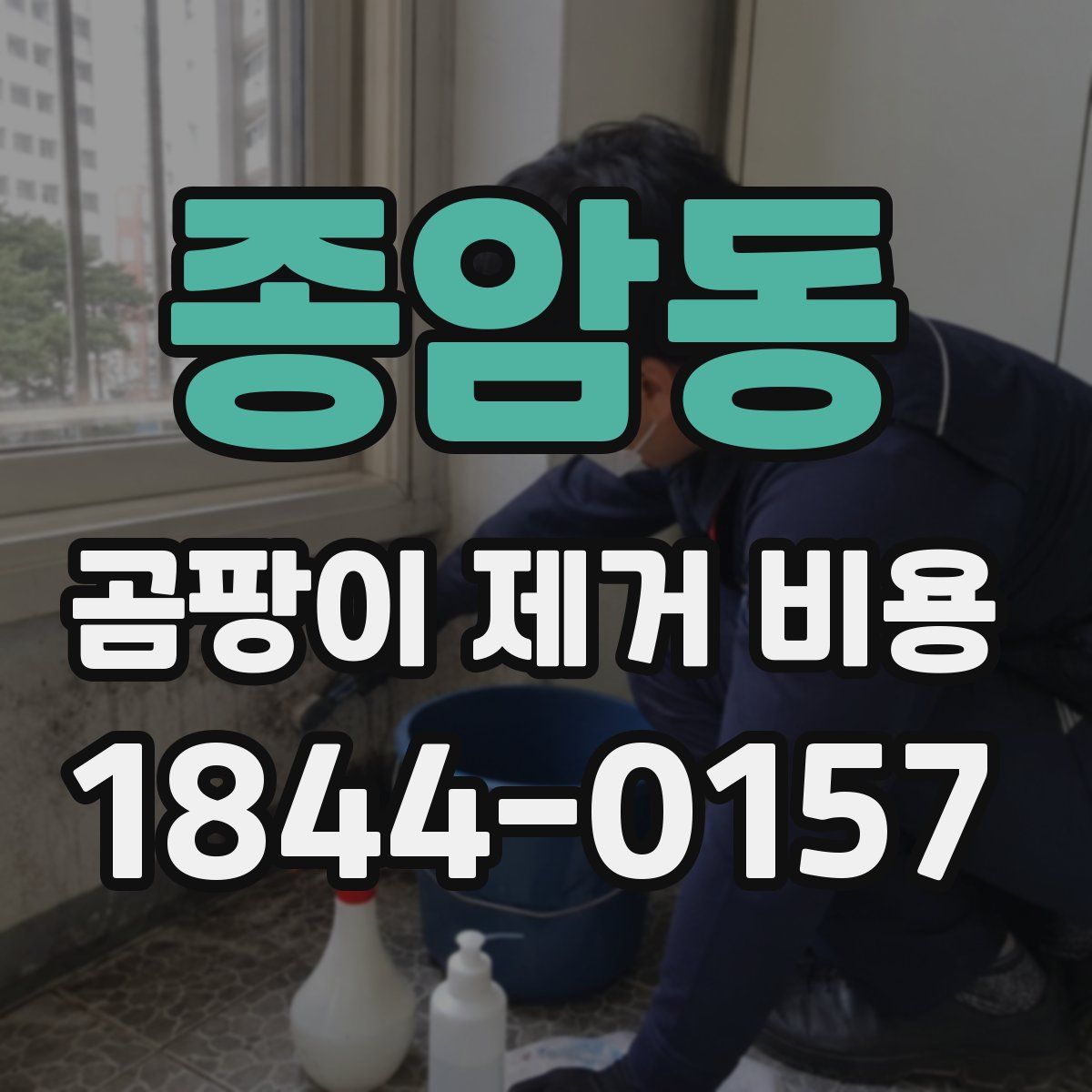 종암동 곰팡이 제거 비용