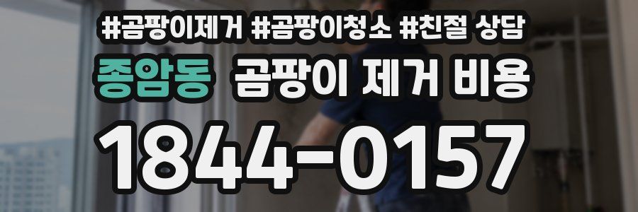 종암동 곰팡이 제거 비용