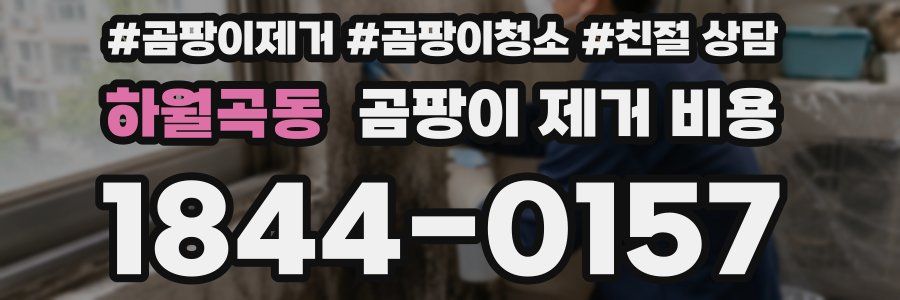 하월곡동 곰팡이 제거 비용