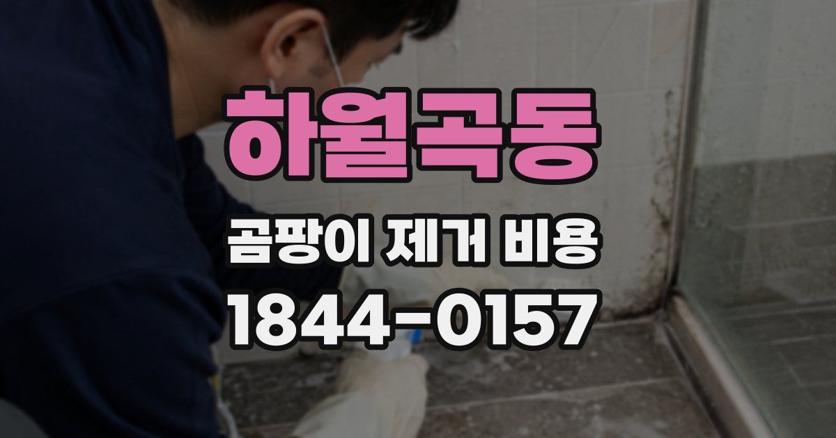 하월곡동 곰팡이 제거 비용