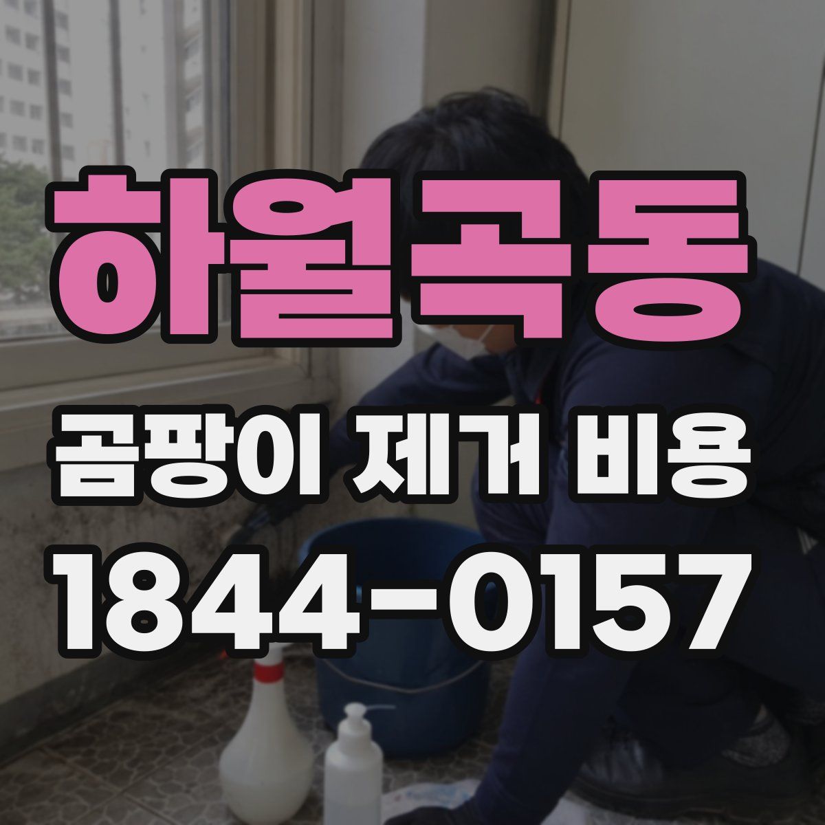 하월곡동 곰팡이 제거 비용