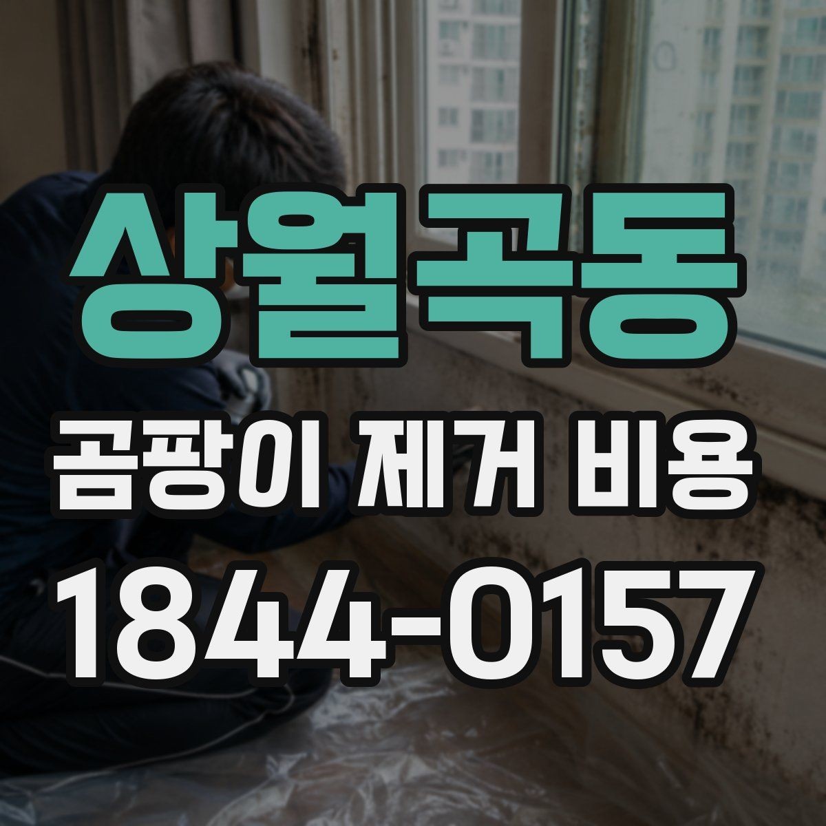 상월곡동 곰팡이 제거 비용 견적 문의 전에 정리해야 할 내용