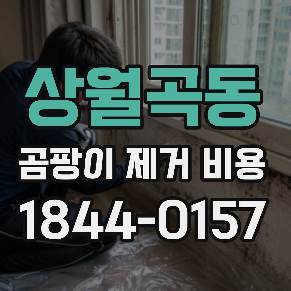 상월곡동 곰팡이 제거 비용