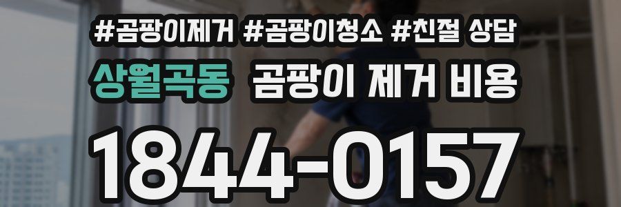 상월곡동 곰팡이 제거 비용