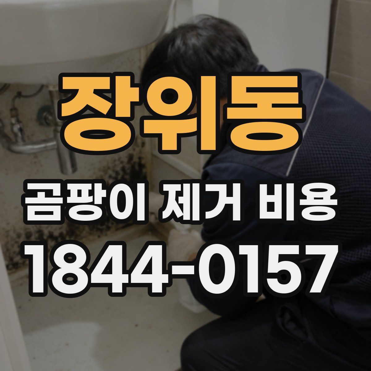 장위동 곰팡이 제거 비용