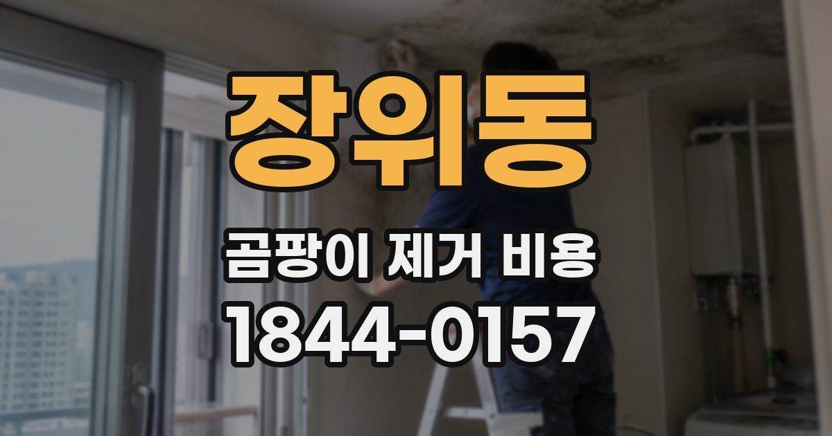 장위동 곰팡이 제거 비용
