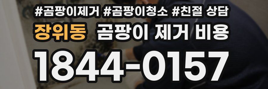 장위동 곰팡이 제거 비용