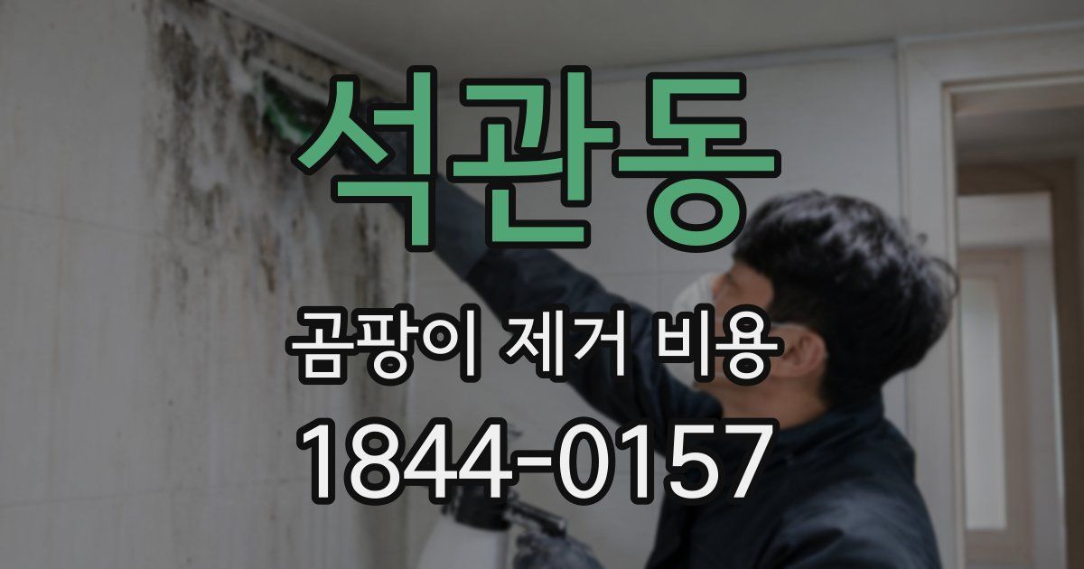 석관동 곰팡이 제거 비용