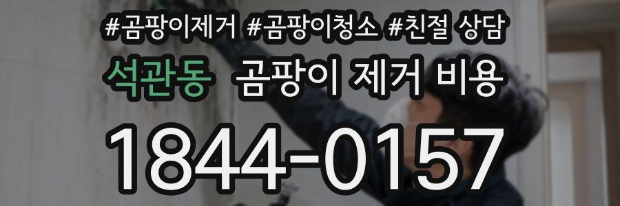 석관동 곰팡이 제거 비용