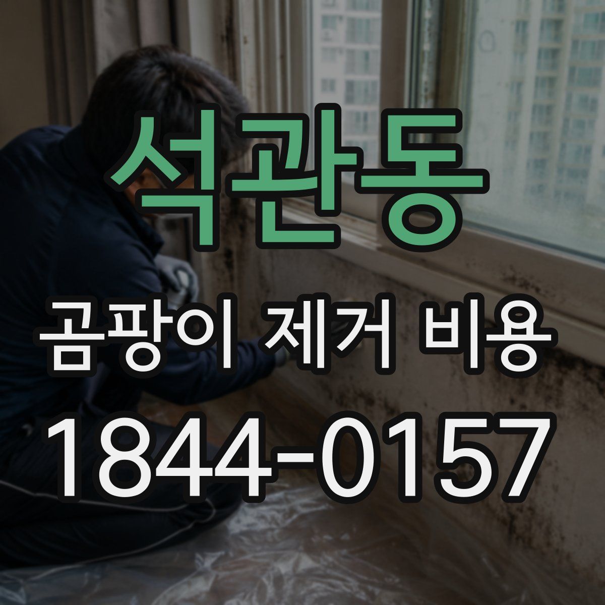 석관동 곰팡이 제거 비용