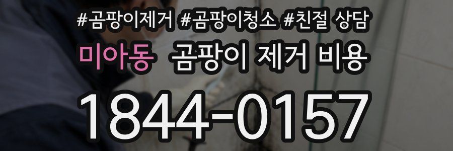 미아동 곰팡이 제거 비용