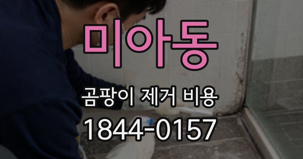 미아동 곰팡이 제거 비용