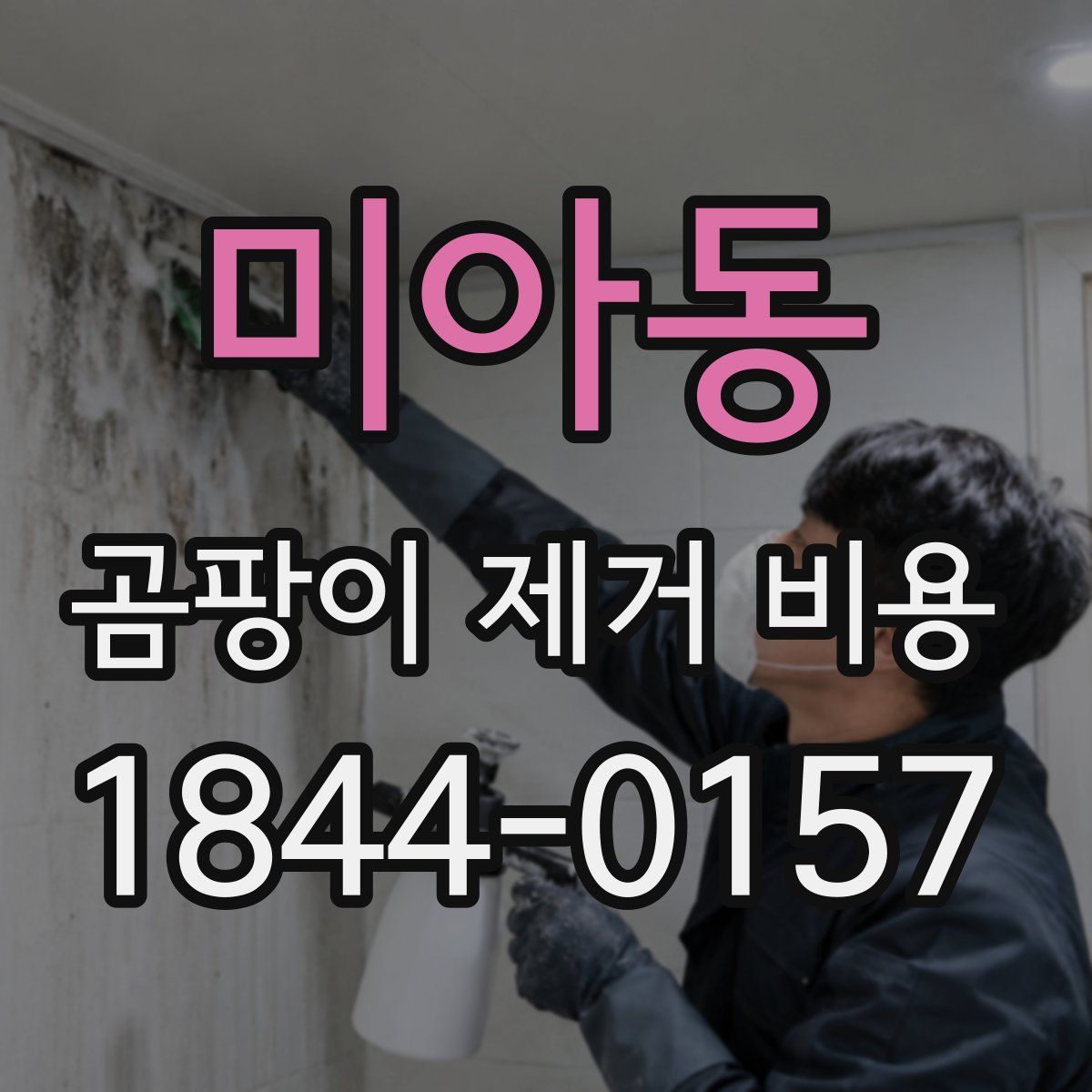 미아동 곰팡이 제거 비용