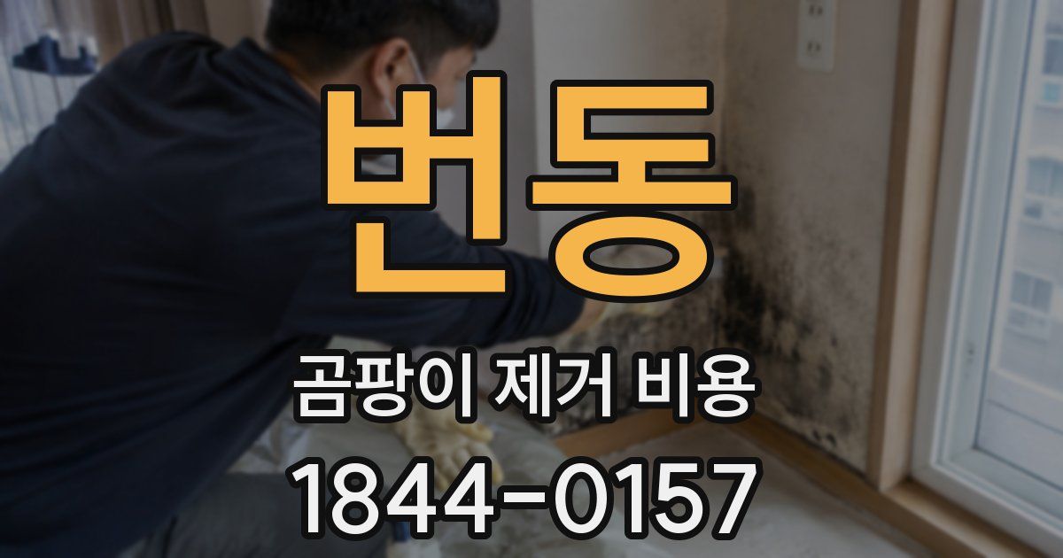번동 곰팡이 제거 비용