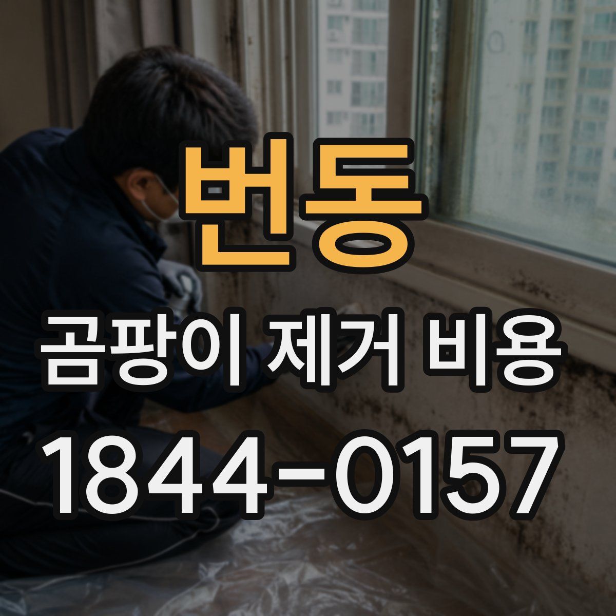 번동 곰팡이 제거 비용