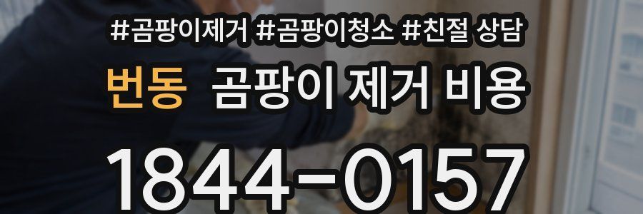 번동 곰팡이 제거 비용