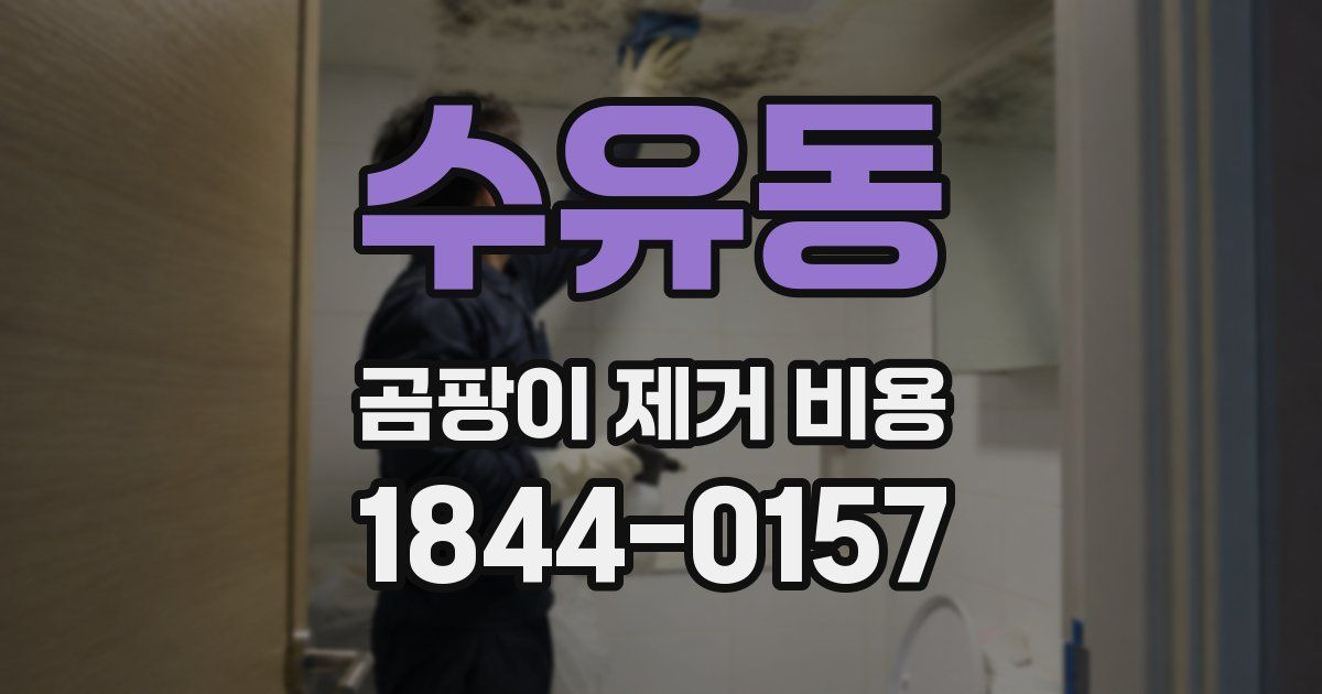 수유동 곰팡이 제거 비용