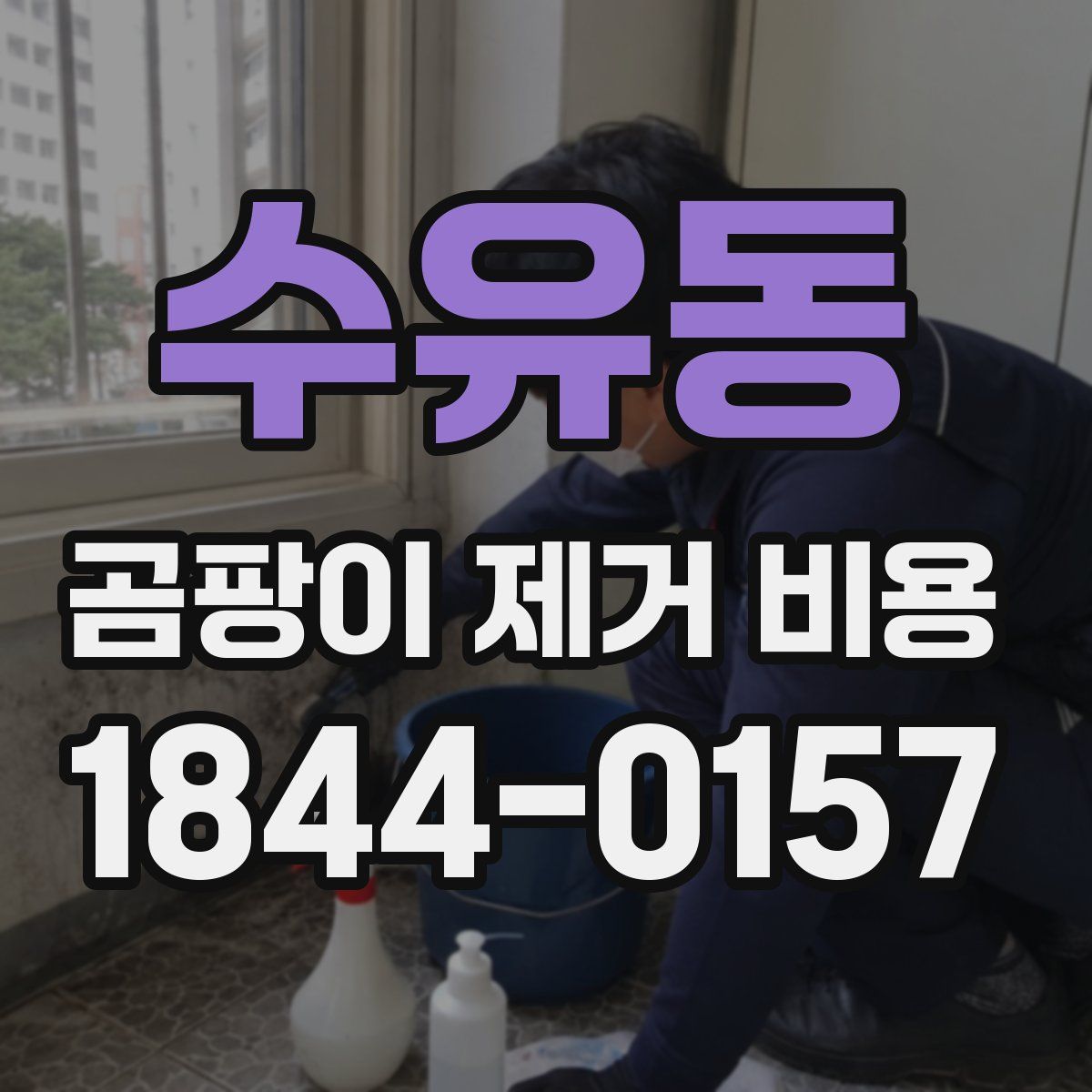 수유동 곰팡이 제거 비용