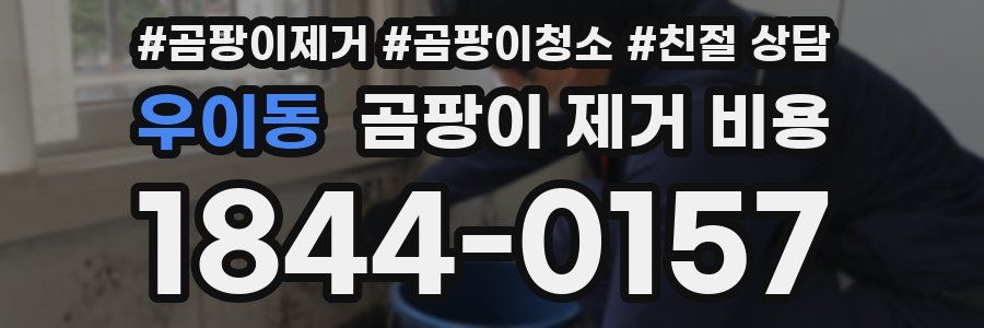 우이동 곰팡이 제거 비용
