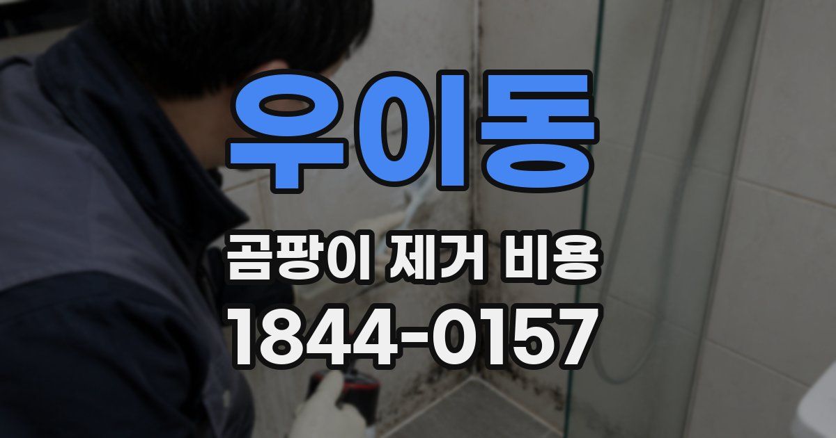 우이동 곰팡이 제거 비용
