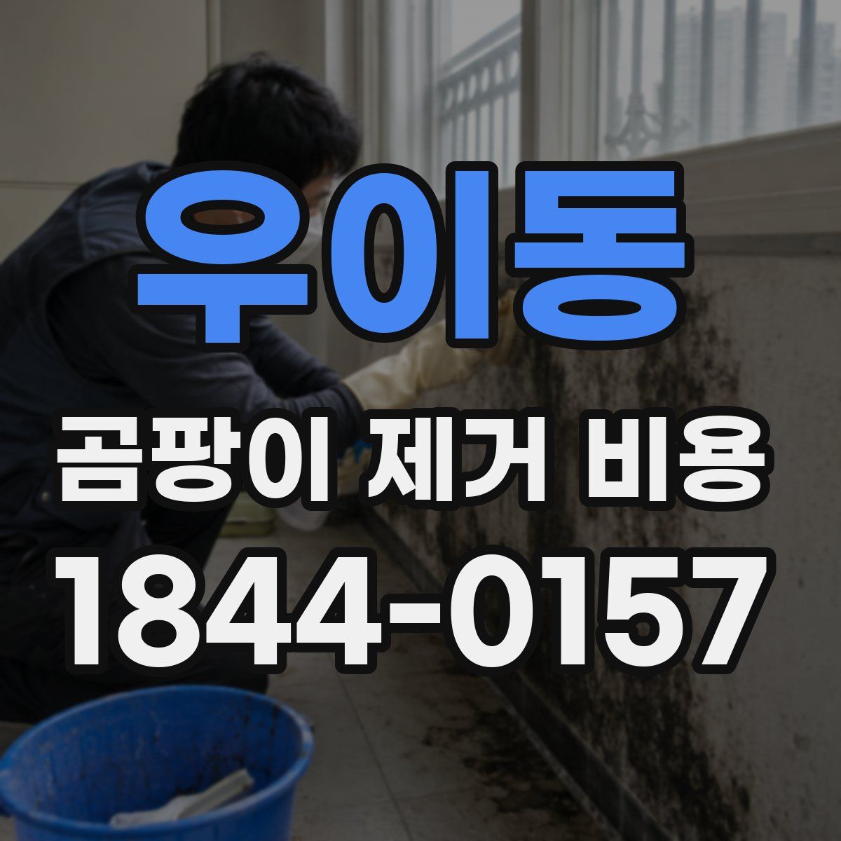 우이동 곰팡이 제거 비용