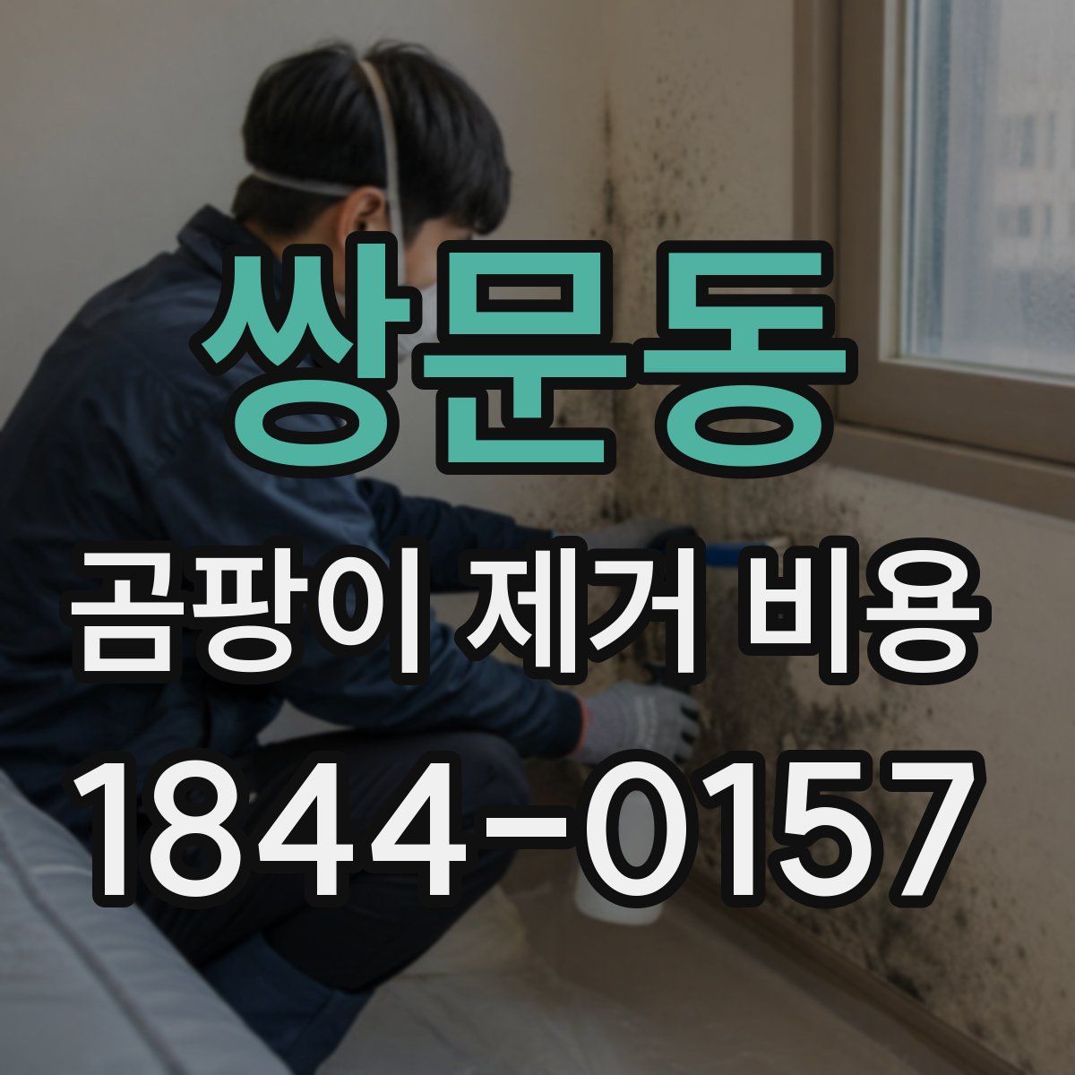 쌍문동 곰팡이 제거 비용
