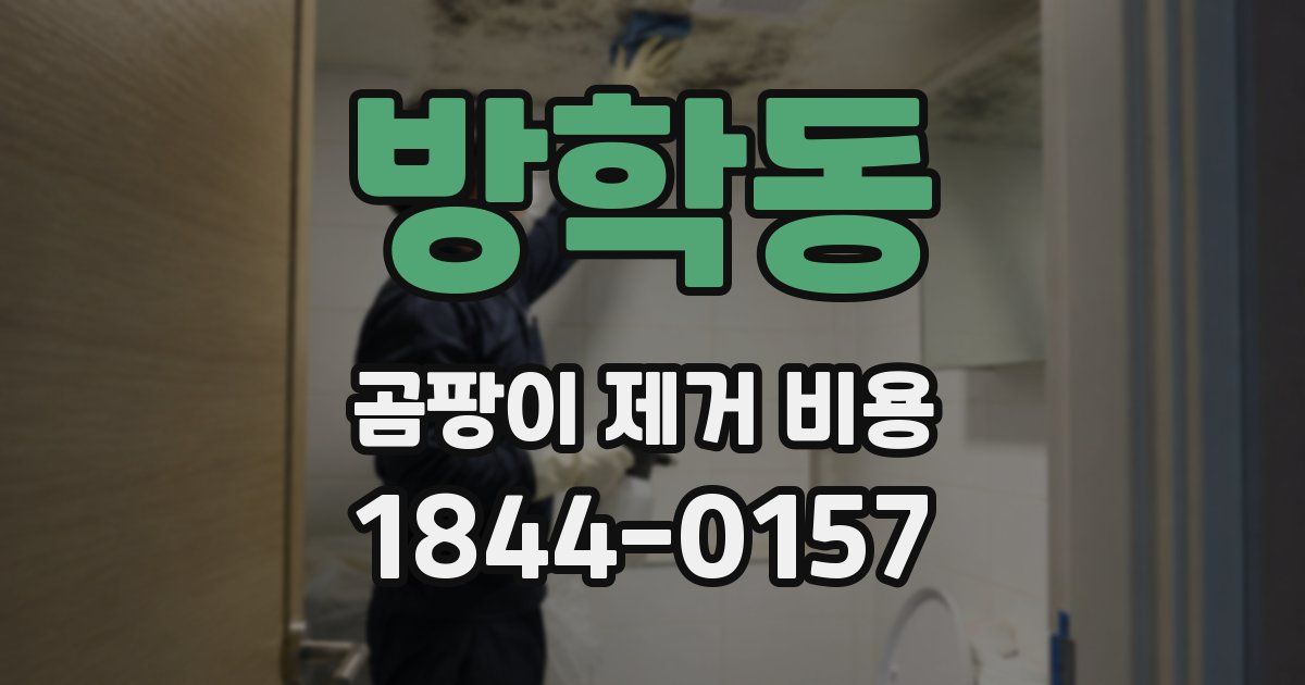 방학동 곰팡이 제거 비용