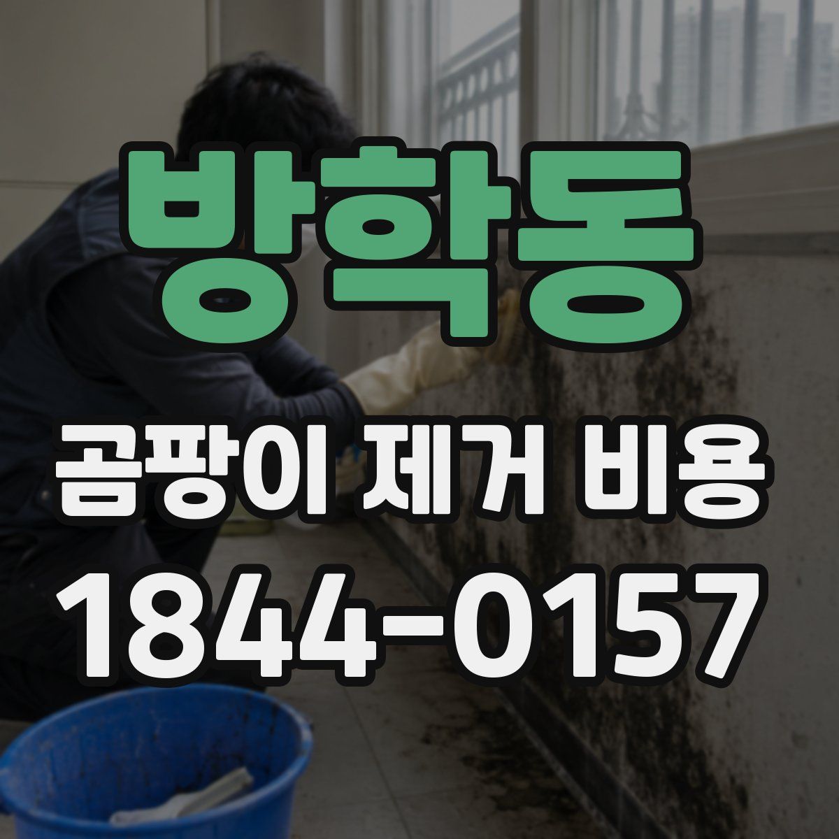 방학동 곰팡이 제거 비용