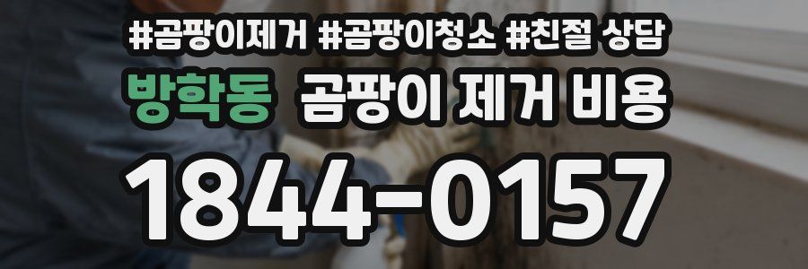 방학동 곰팡이 제거 비용
