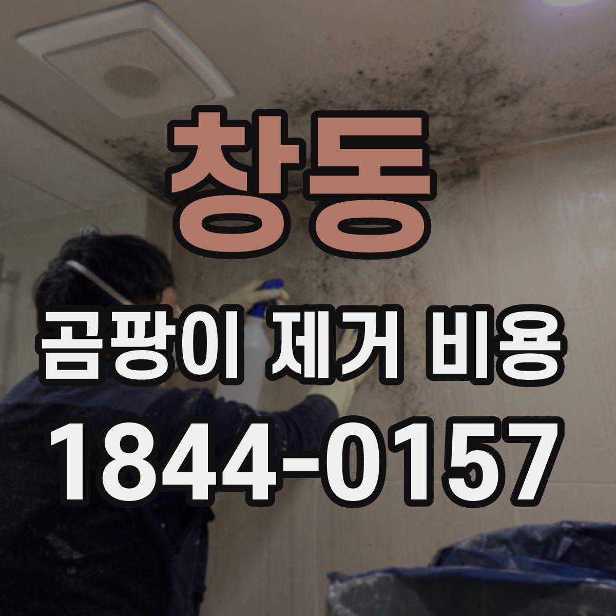 창동 곰팡이 제거 비용 셀프 작업과 전문 시공의 차이