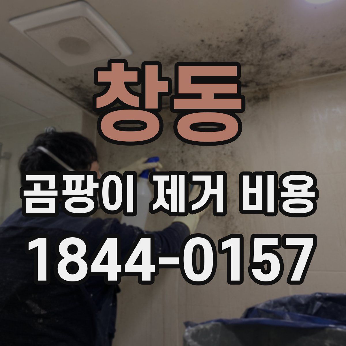 창동 곰팡이 제거 비용