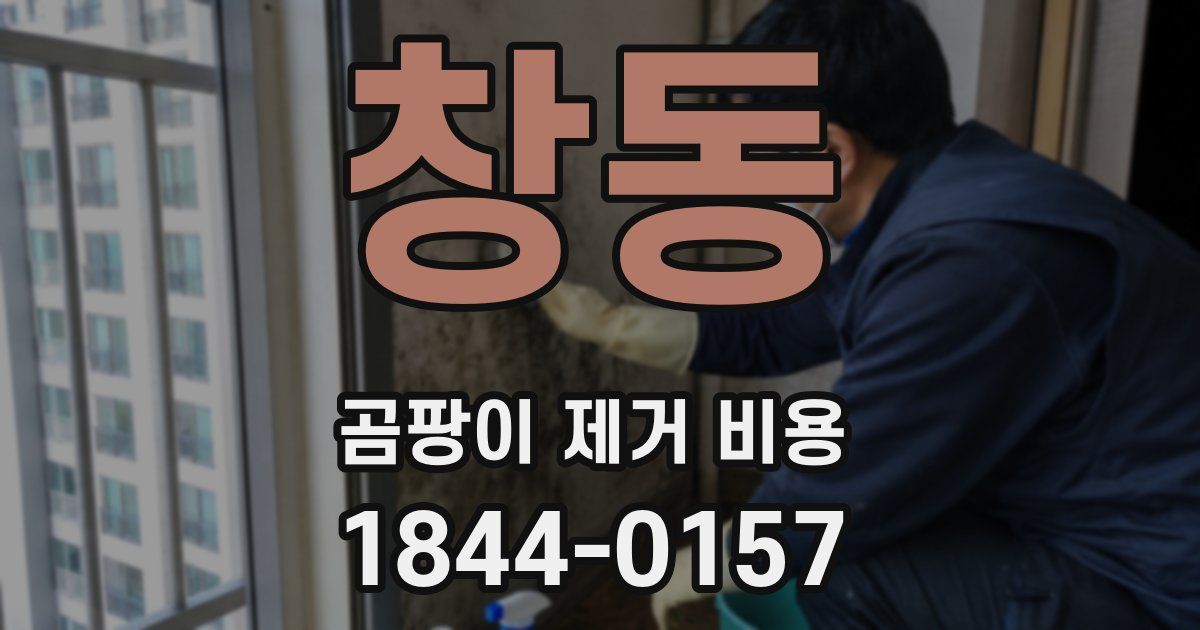 창동 곰팡이 제거 비용