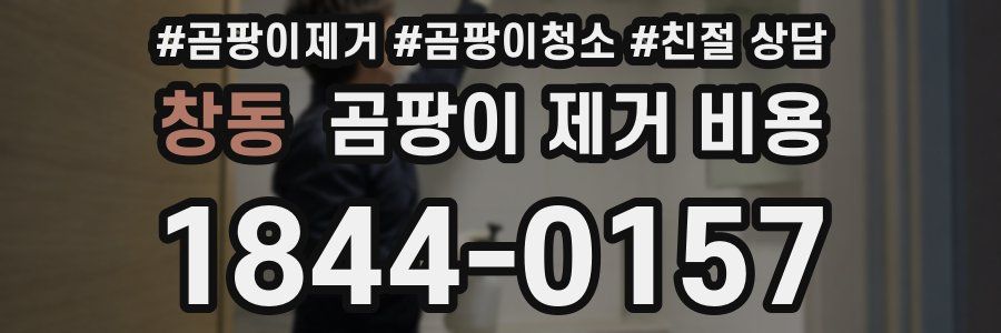 창동 곰팡이 제거 비용