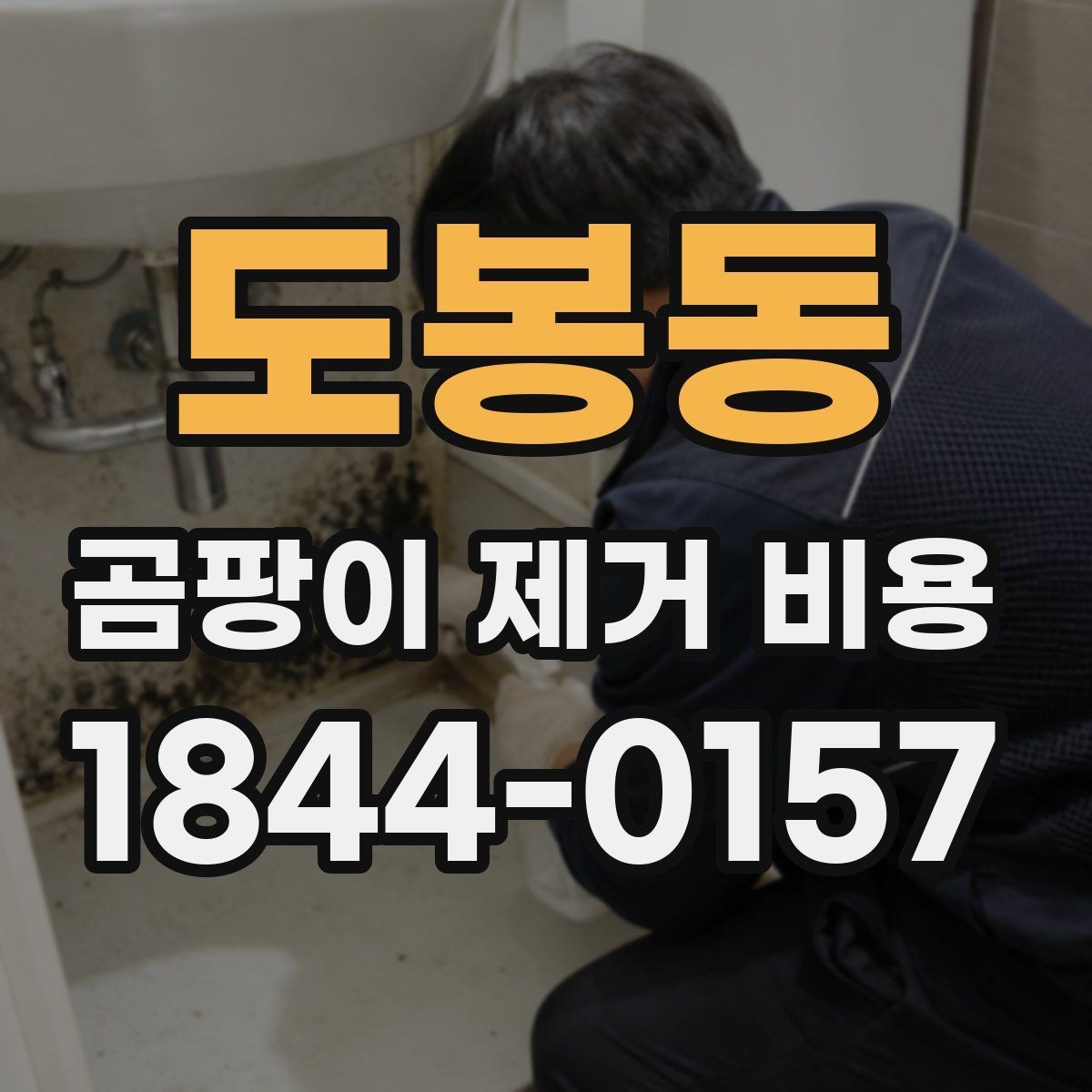 도봉동 곰팡이 제거 비용 벽면 상태에 따라 달라지는 공정
