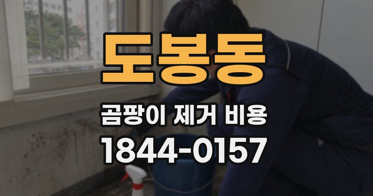 도봉동 곰팡이 제거 비용