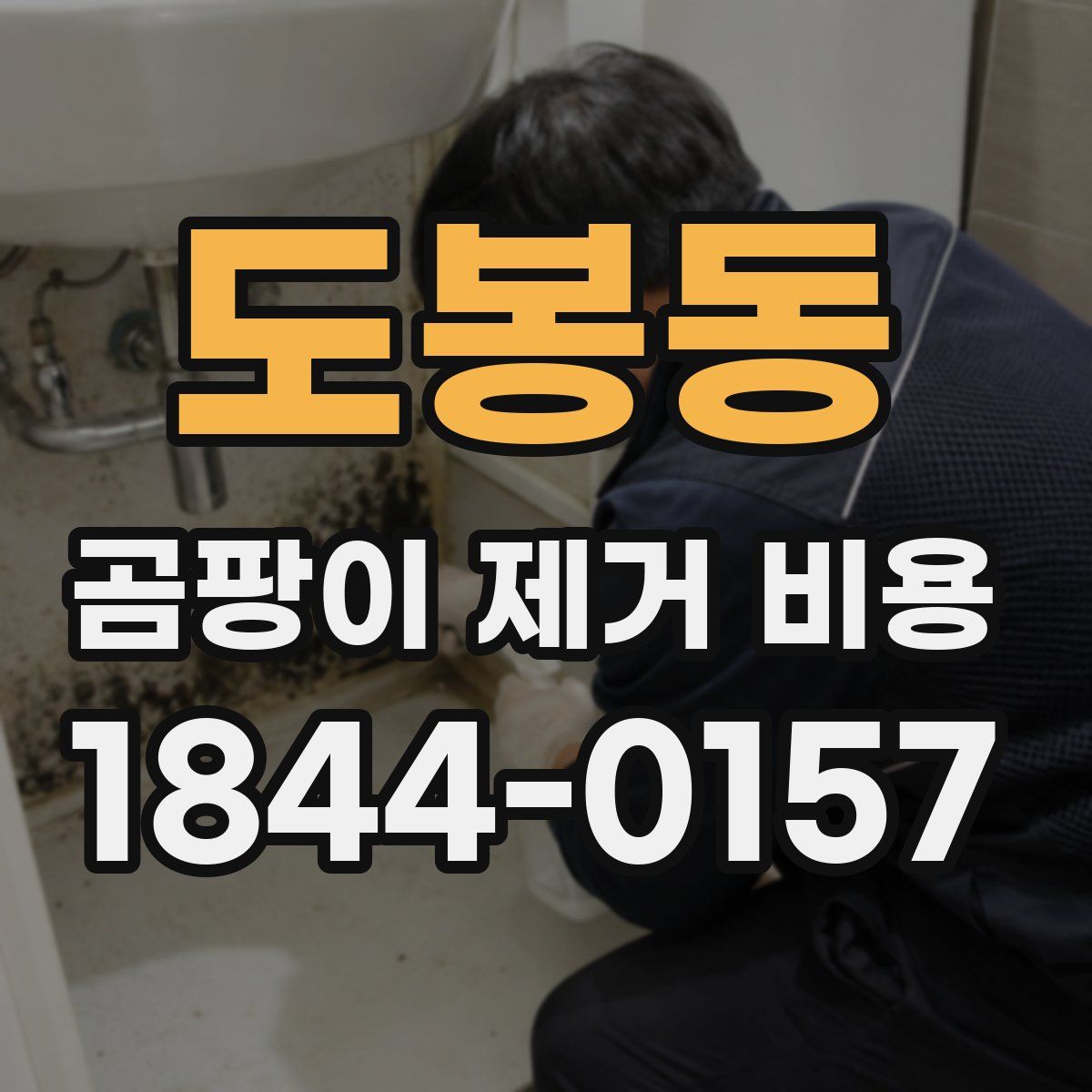 도봉동 곰팡이 제거 비용