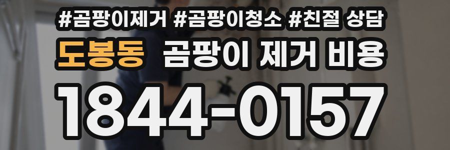 도봉동 곰팡이 제거 비용