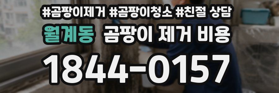월계동 곰팡이 제거 비용