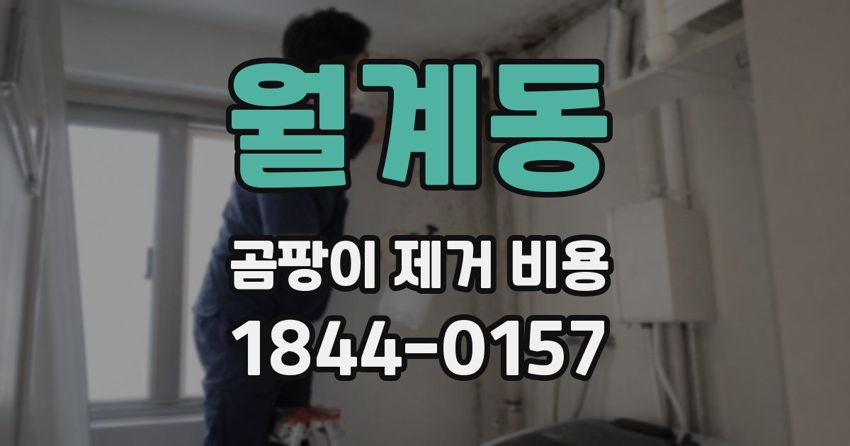 월계동 곰팡이 제거 비용