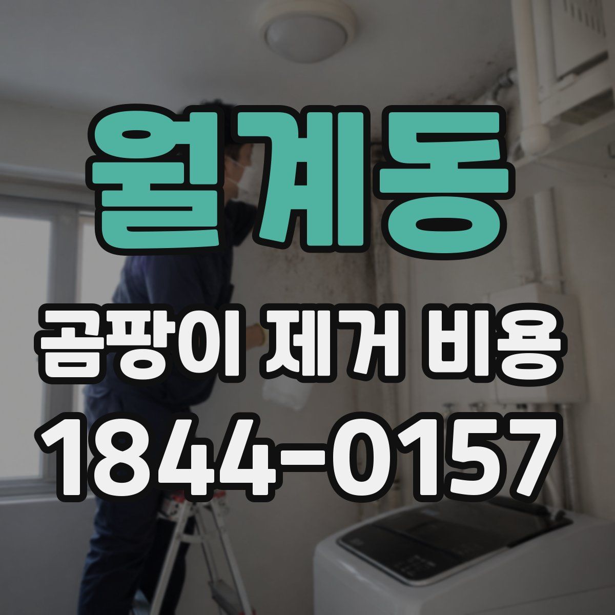 월계동 곰팡이 제거 비용