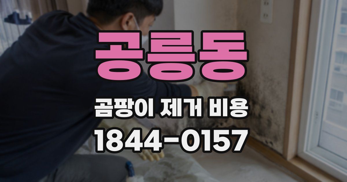공릉동 곰팡이 제거 비용