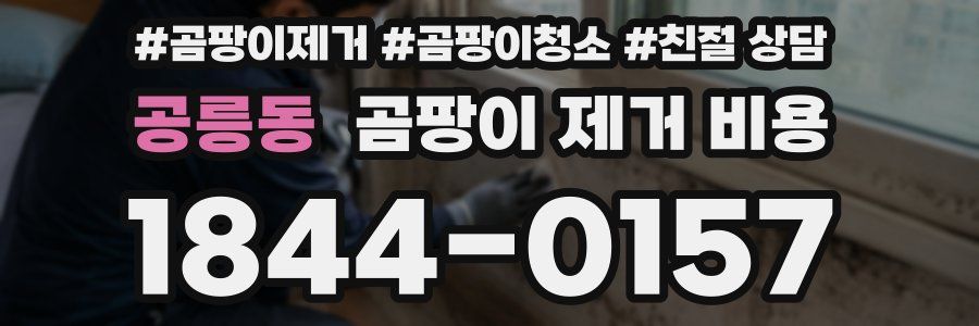 공릉동 곰팡이 제거 비용
