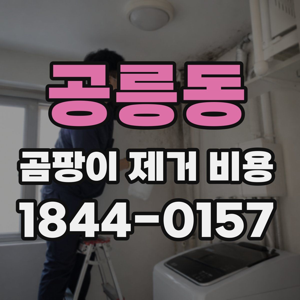 공릉동 곰팡이 제거 비용