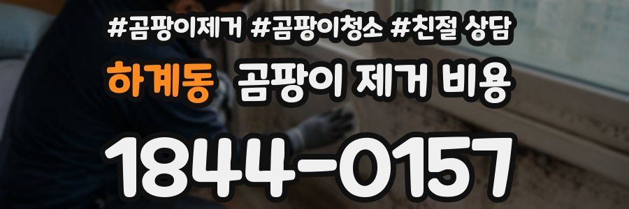 하계동 곰팡이 제거 비용