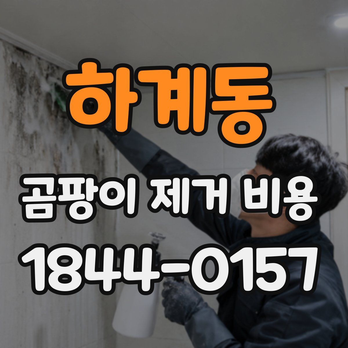 하계동 곰팡이 제거 비용
