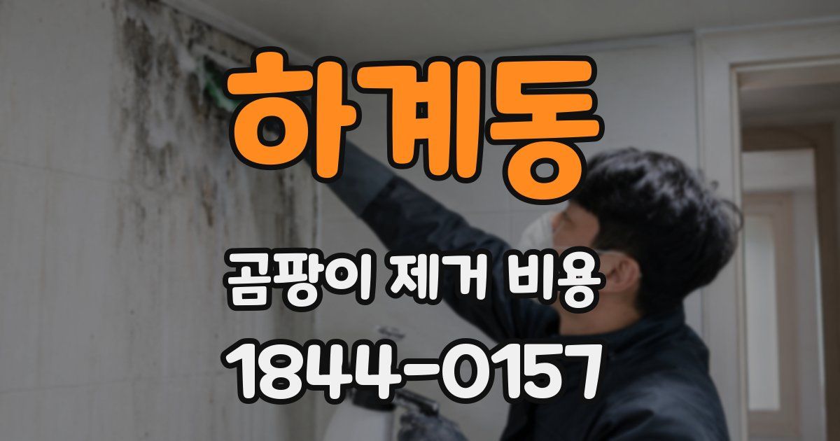 하계동 곰팡이 제거 비용